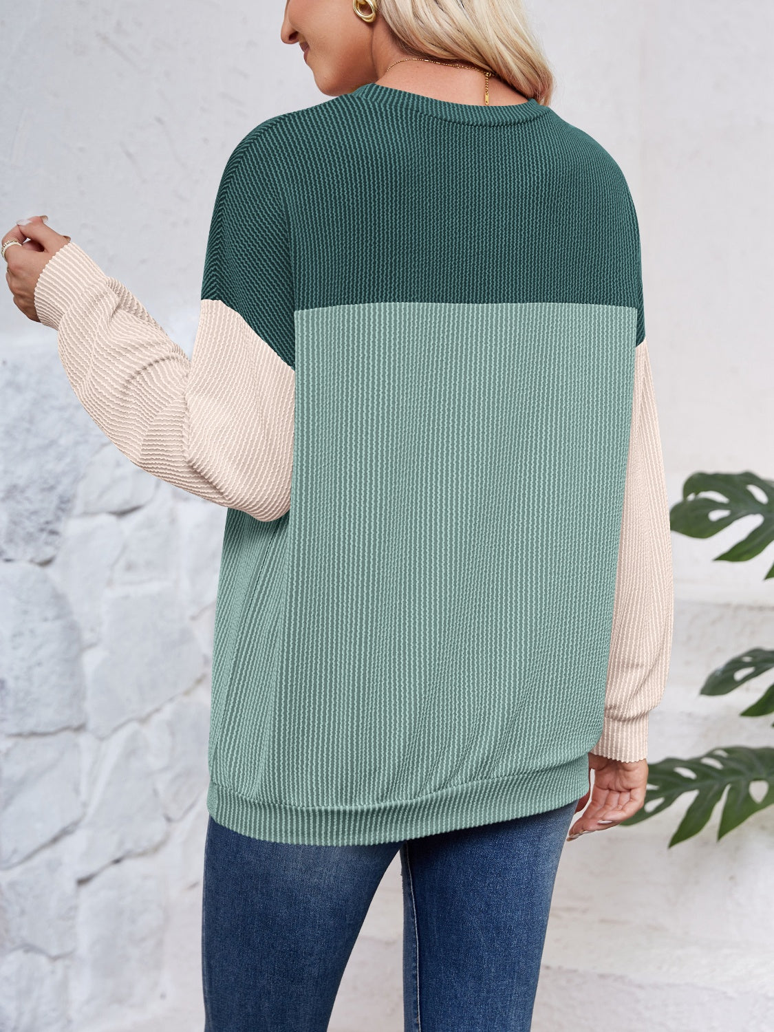 Lovelet Color Block Round Neck Long Sleeve Sweatshirt - EkaVibe