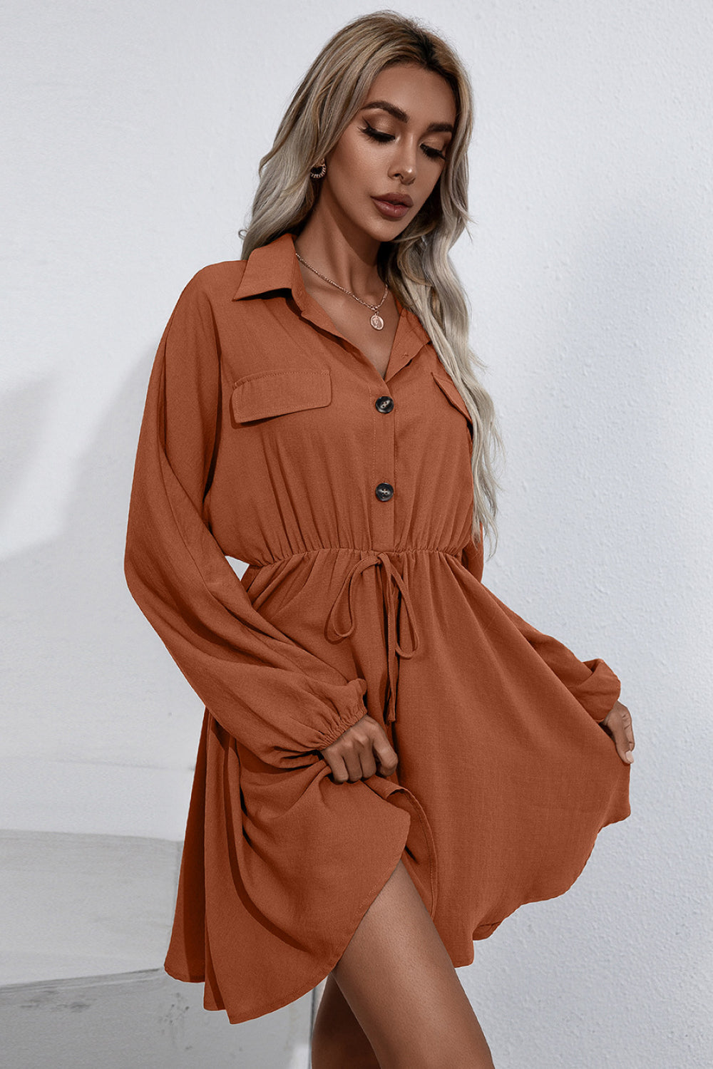 Ivy Lane Collared Tie Waist Button Up Shirt Dress - EkaVibe