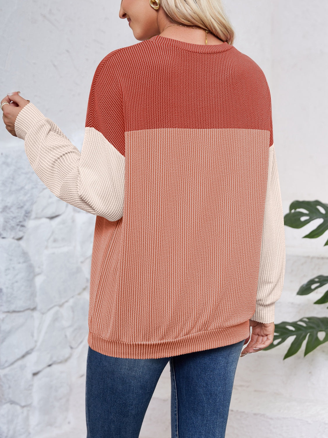 Lovelet Color Block Round Neck Long Sleeve Sweatshirt - EkaVibe