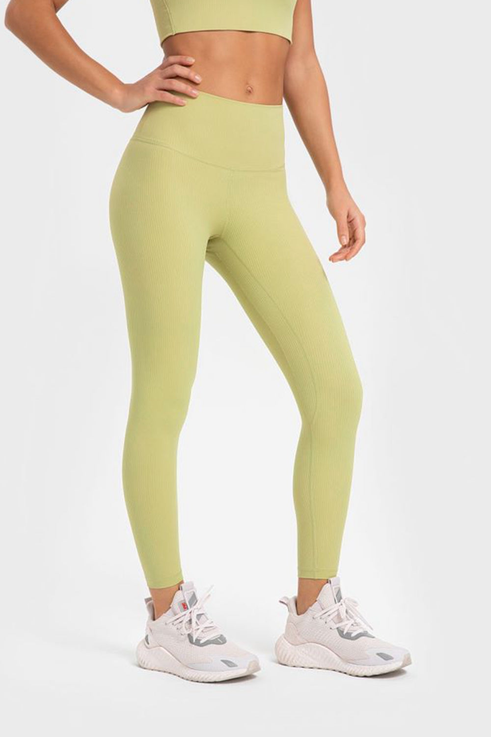 Millennia Highly Stretchy Wide Waistband Yoga Leggings - EkaVibe