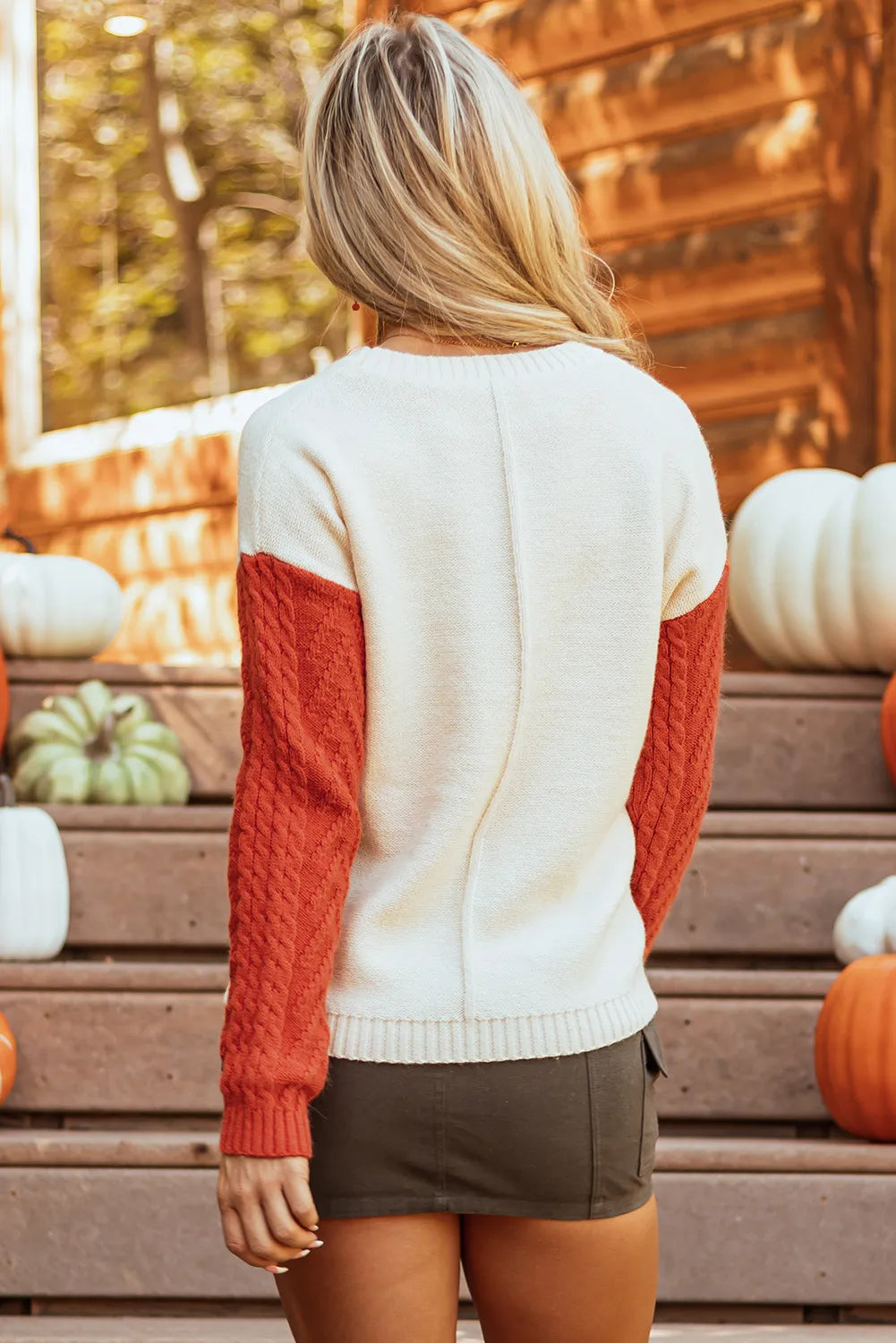 Color Block Round Neck Long Sleeve Sweater - EkaVibe