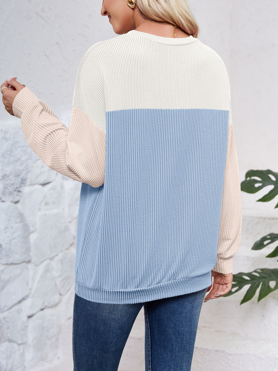 Lovelet Color Block Round Neck Long Sleeve Sweatshirt - EkaVibe