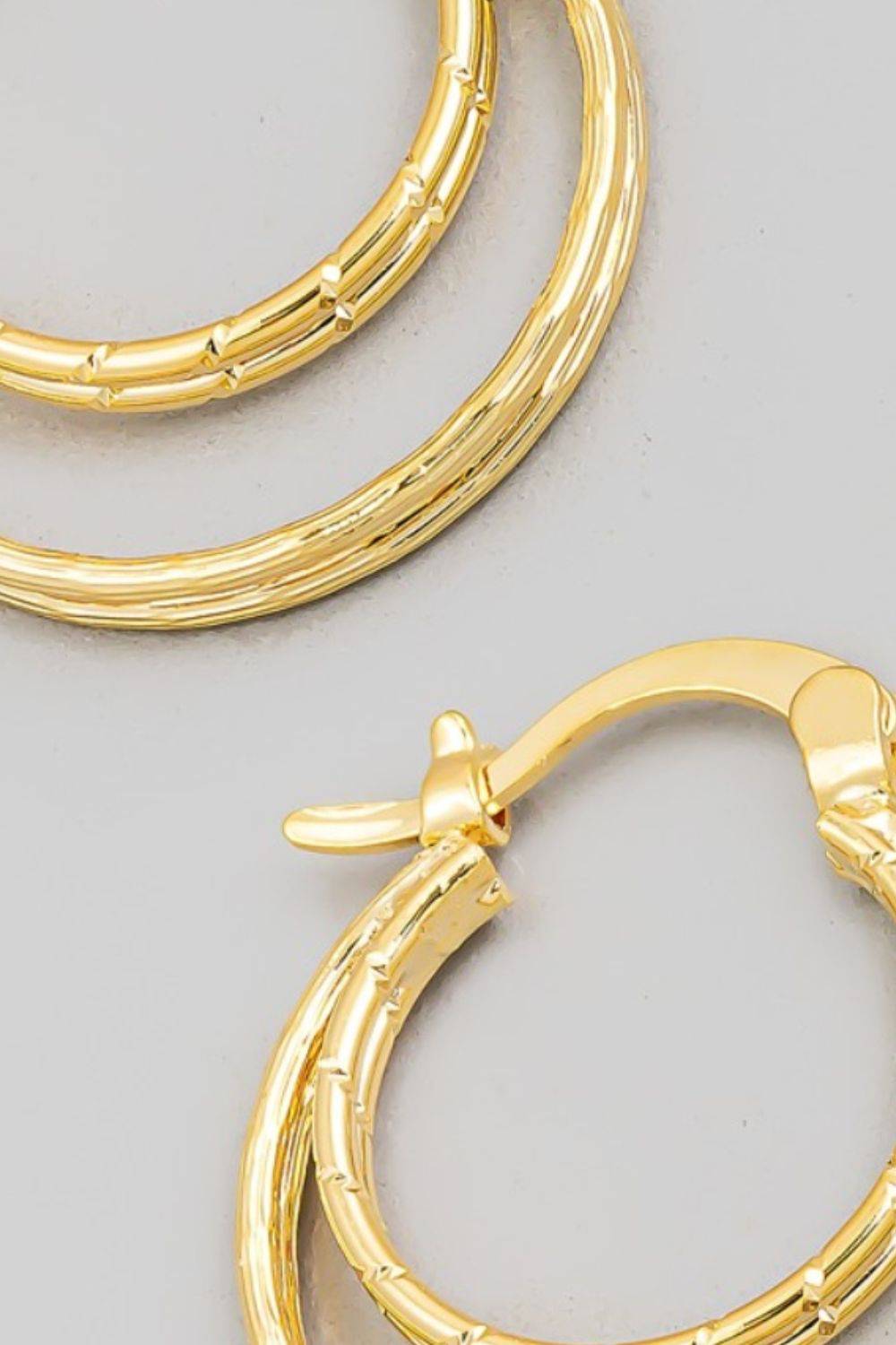 Fame Pincatch Double Circle Hoop Earrings - EkaVibe